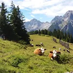 Appartement Haus Alpengruss Lofer