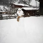 Appartement Haus Alpengruss Lofer