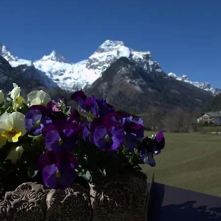 Haus Alpengruss Lejlighed Lofer