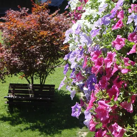 Haus Alpengruss Apartment Lofer