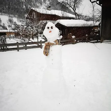 Apartment Haus Alpengruss Lofer