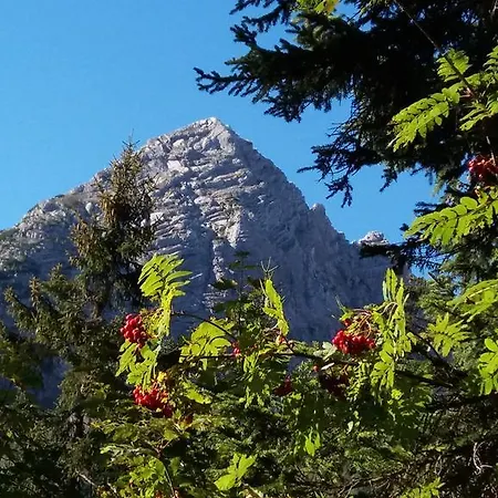 Haus Alpengruss Lejlighed Lofer