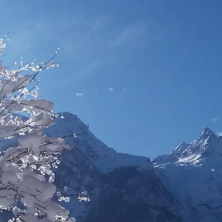 Haus Alpengruss * Lofer