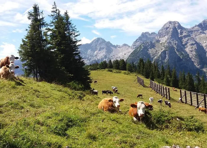 Lejlighed Haus Alpengruss Lofer