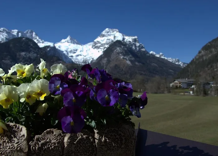 Haus Alpengruss Apartman Lofer
