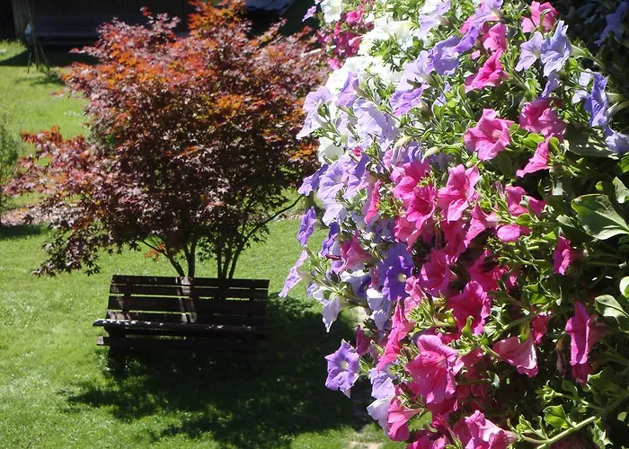 Haus Alpengruss Lejlighed Lofer