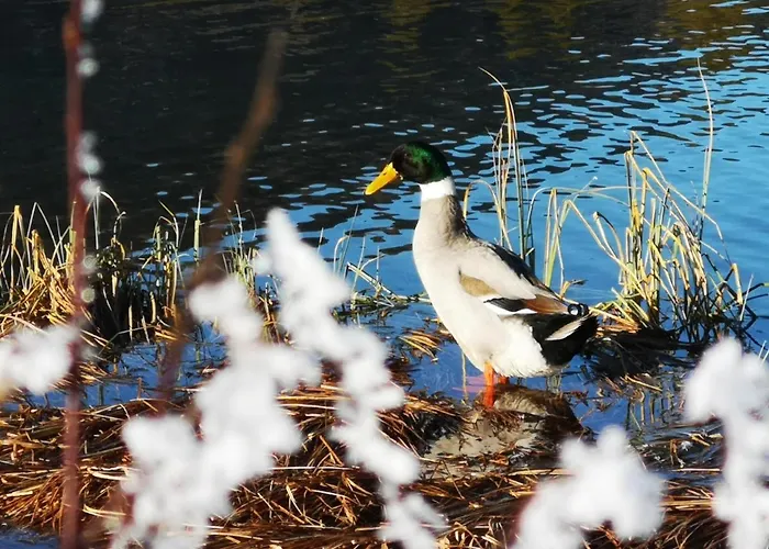 Haus Alpengruss Lofer