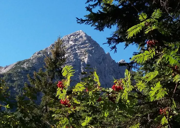 Haus Alpengruss Lejlighed Lofer