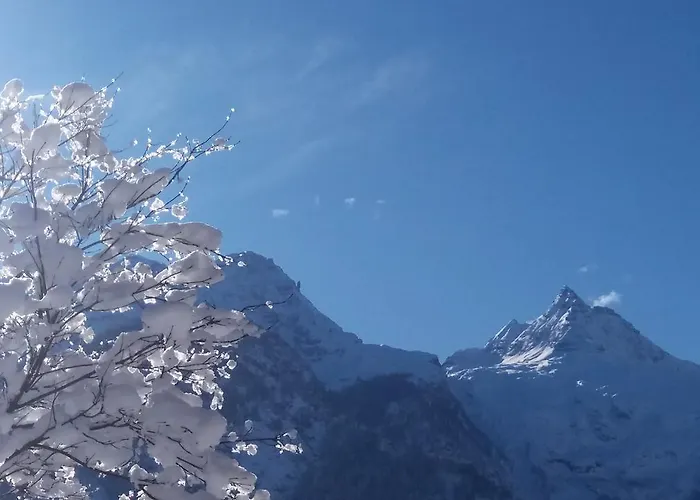 Haus Alpengruss * Lofer